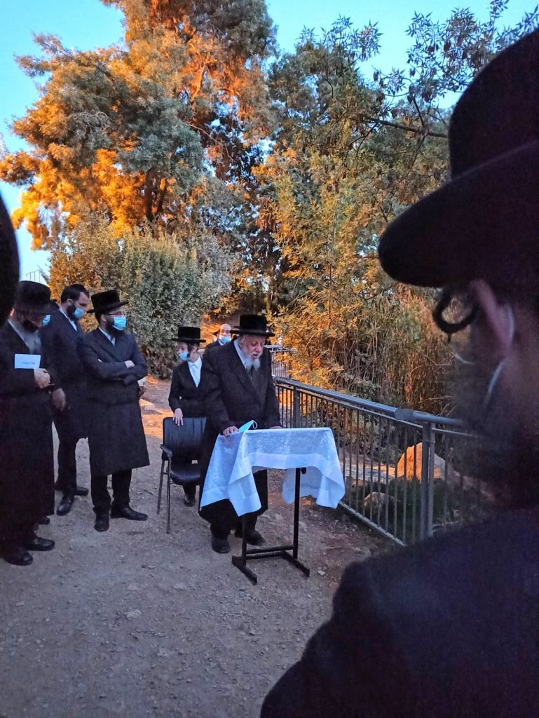 תיעוד: הרבי מקופישניץ באמירת תשליך