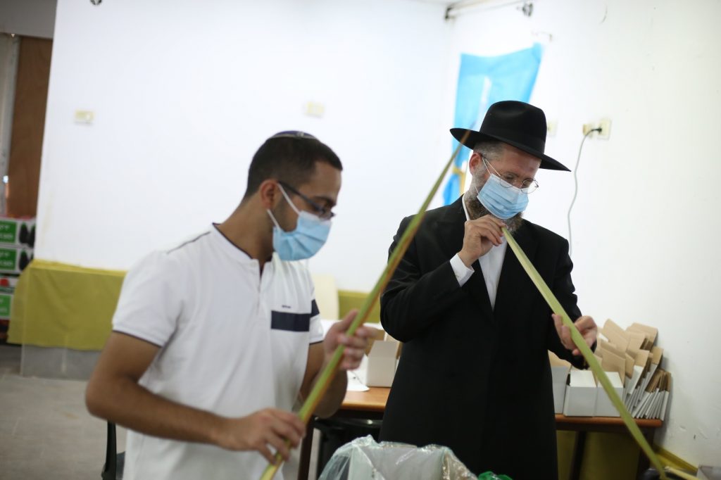 בצפת נערכים לסוכות: תיעוד ממכירת ארבעת המינים בצפת נערכים לסוכות: תיעוד ממכירת ארבעת המינים