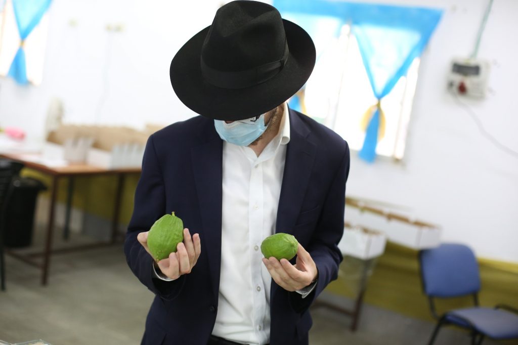 בצפת נערכים לסוכות: תיעוד ממכירת ארבעת המינים בצפת נערכים לסוכות: תיעוד ממכירת ארבעת המינים