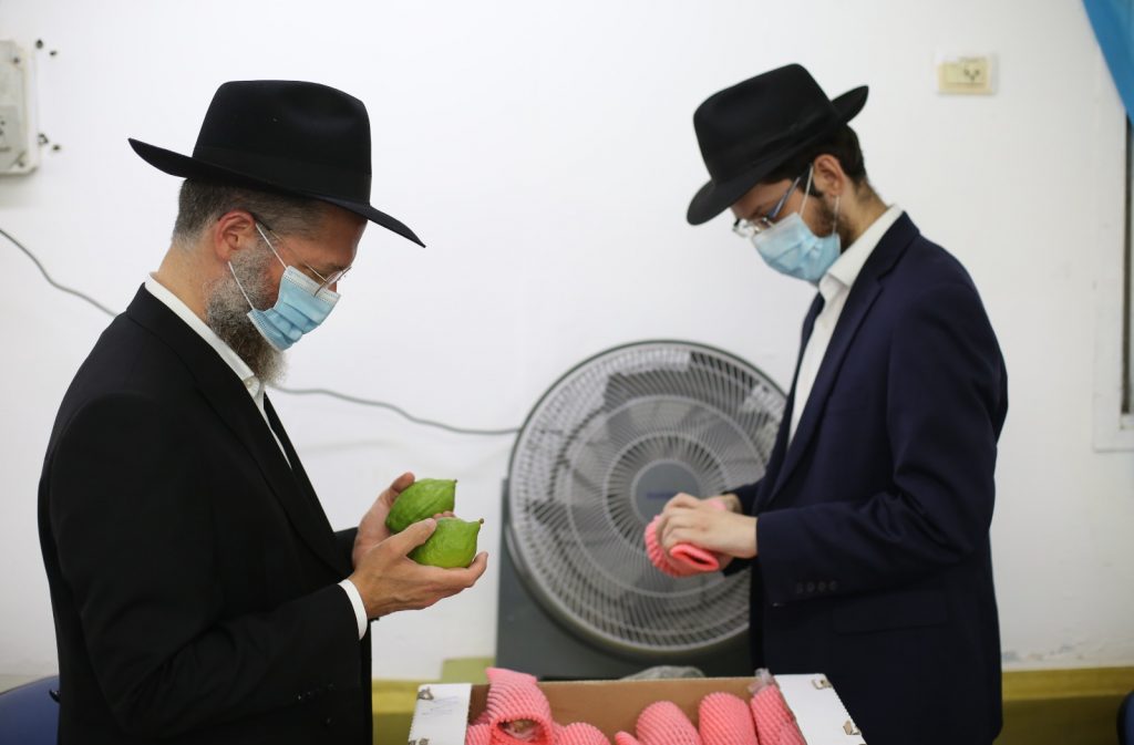 בצפת נערכים לסוכות: תיעוד ממכירת ארבעת המינים בצפת נערכים לסוכות: תיעוד ממכירת ארבעת המינים