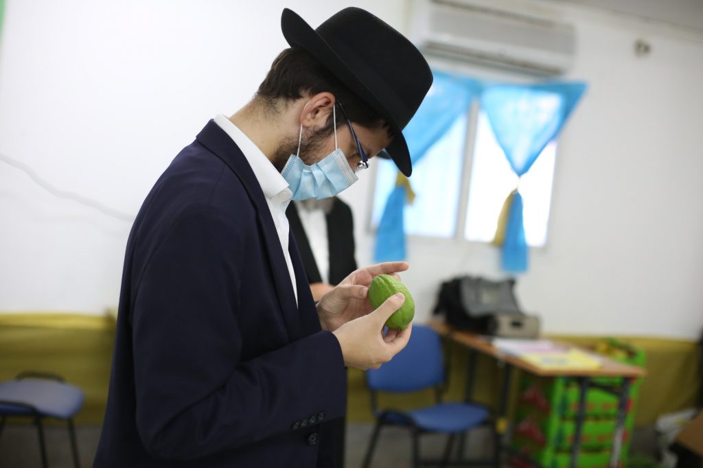 בצפת נערכים לסוכות: תיעוד ממכירת ארבעת המינים בצפת נערכים לסוכות: תיעוד ממכירת ארבעת המינים