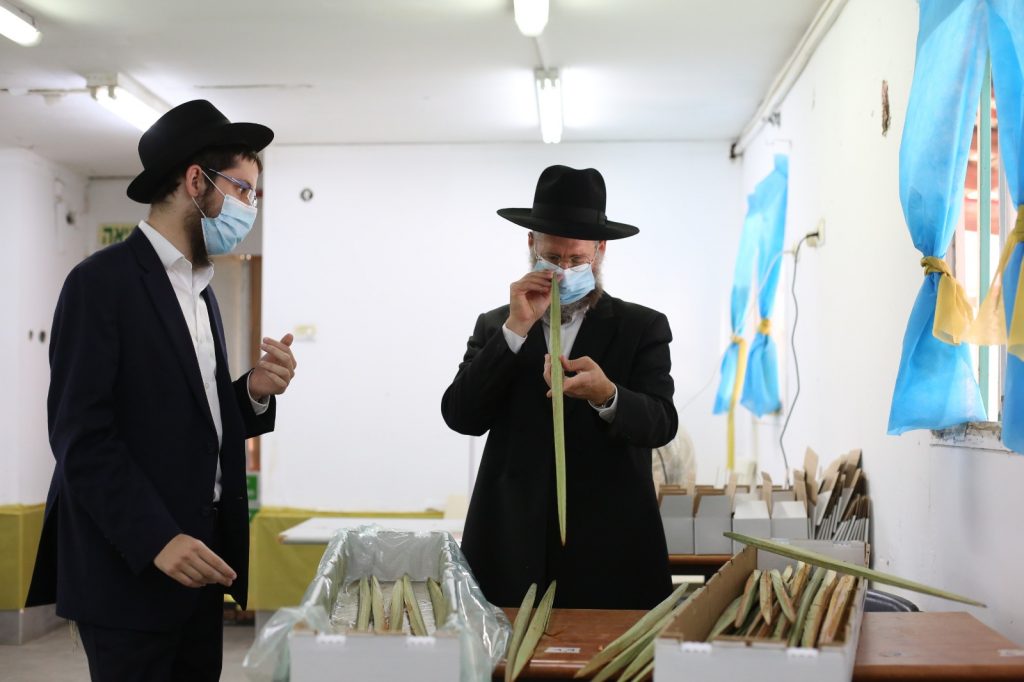 בצפת נערכים לסוכות: תיעוד ממכירת ארבעת המינים בצפת נערכים לסוכות: תיעוד ממכירת ארבעת המינים