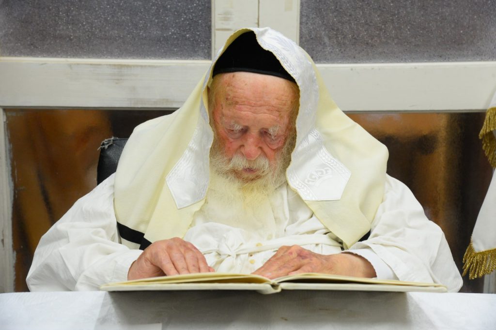 יֵלְכוּ מֵחַיִל אֶל חָיִל: שר התורה מסייע בבניית הסוכה