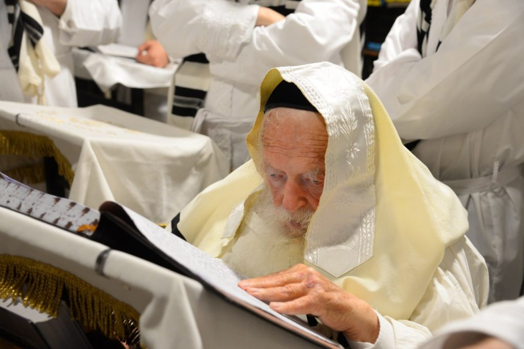 יֵלְכוּ מֵחַיִל אֶל חָיִל: שר התורה מסייע בבניית הסוכה