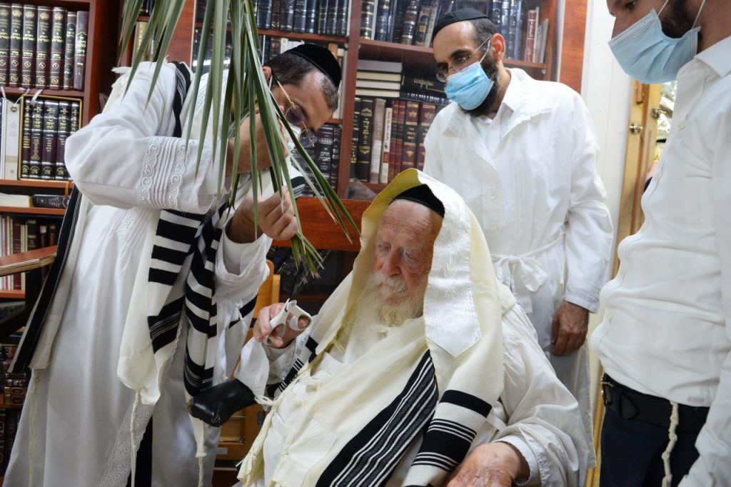 יֵלְכוּ מֵחַיִל אֶל חָיִל: שר התורה מסייע בבניית הסוכה