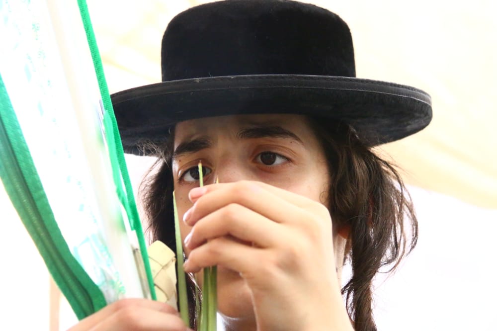 מסכה מענפי הלולב כבר ראיתם? גלריה ממאה שערים