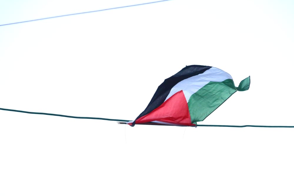 מסכה מענפי הלולב כבר ראיתם? גלריה ממאה שערים