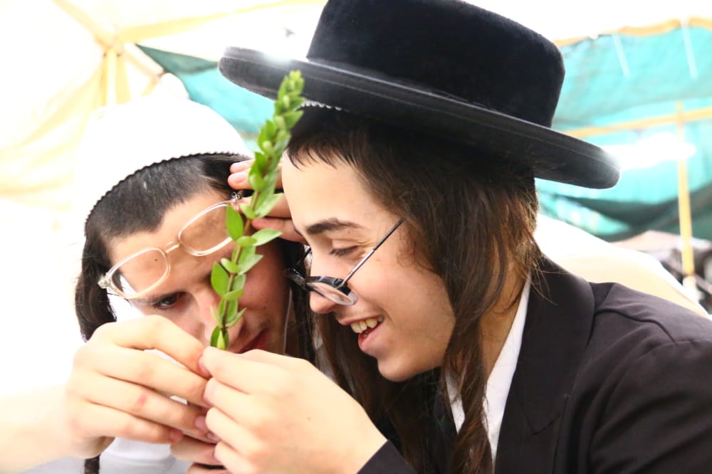 מסכה מענפי הלולב כבר ראיתם? גלריה ממאה שערים