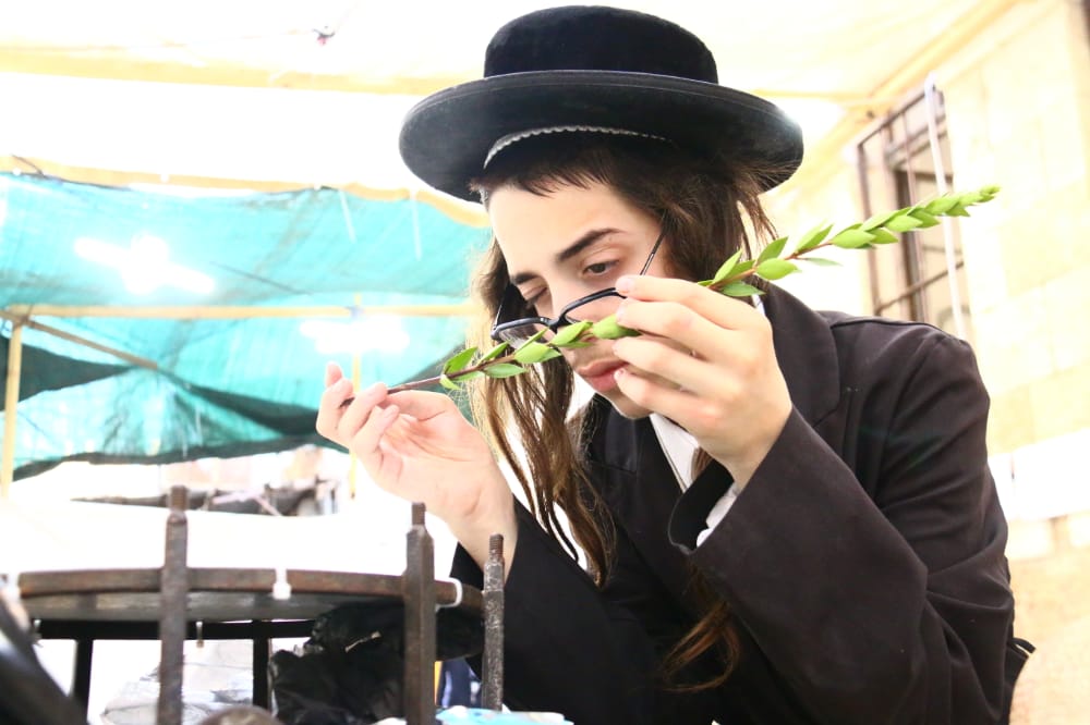 מסכה מענפי הלולב כבר ראיתם? גלריה ממאה שערים