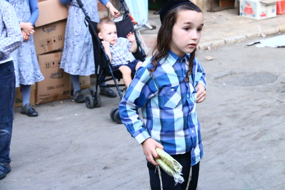 מסכה מענפי הלולב כבר ראיתם? גלריה ממאה שערים