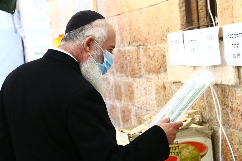 מסכה מענפי הלולב כבר ראיתם? גלריה ממאה שערים