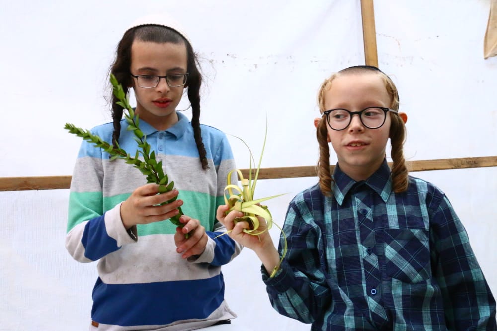 מסכה מענפי הלולב כבר ראיתם? גלריה ממאה שערים