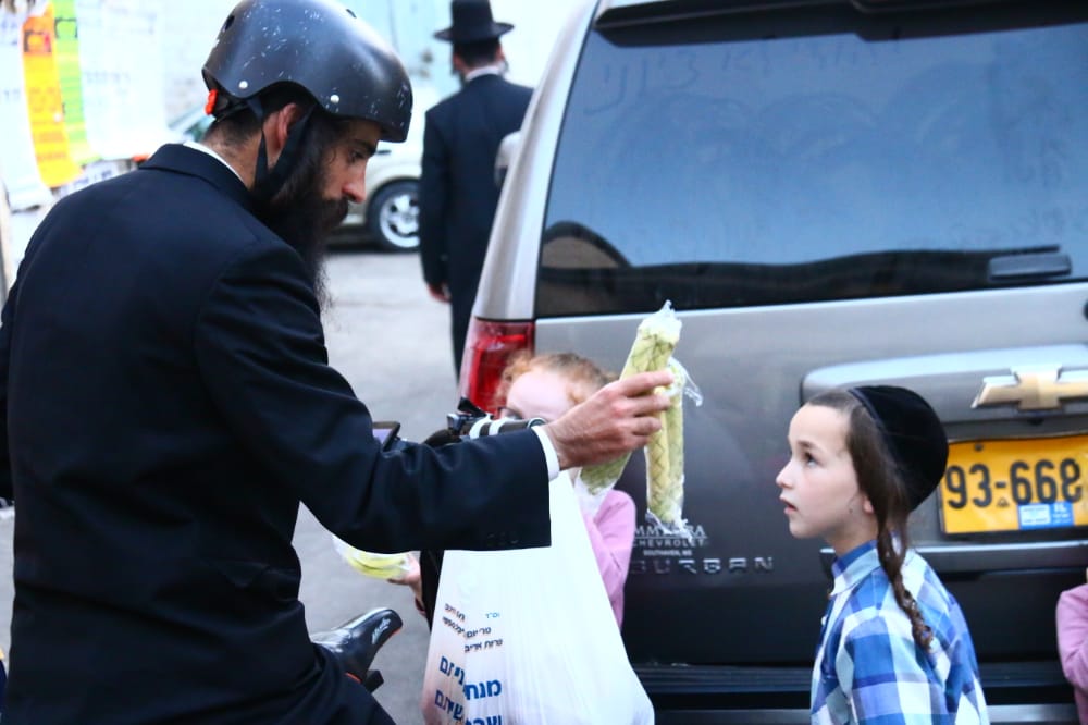 מסכה מענפי הלולב כבר ראיתם? גלריה ממאה שערים
