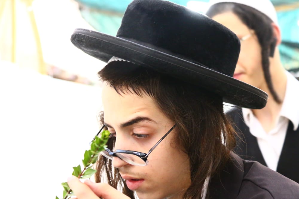 מסכה מענפי הלולב כבר ראיתם? גלריה ממאה שערים