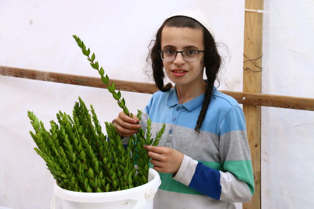 מסכה מענפי הלולב כבר ראיתם? גלריה ממאה שערים