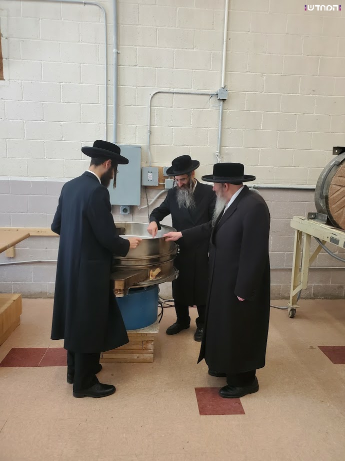 האדמו"ר מסאטמר בבדיקת החטים והמטחנות לקראת חג הפסח תשפ"א • גלריה