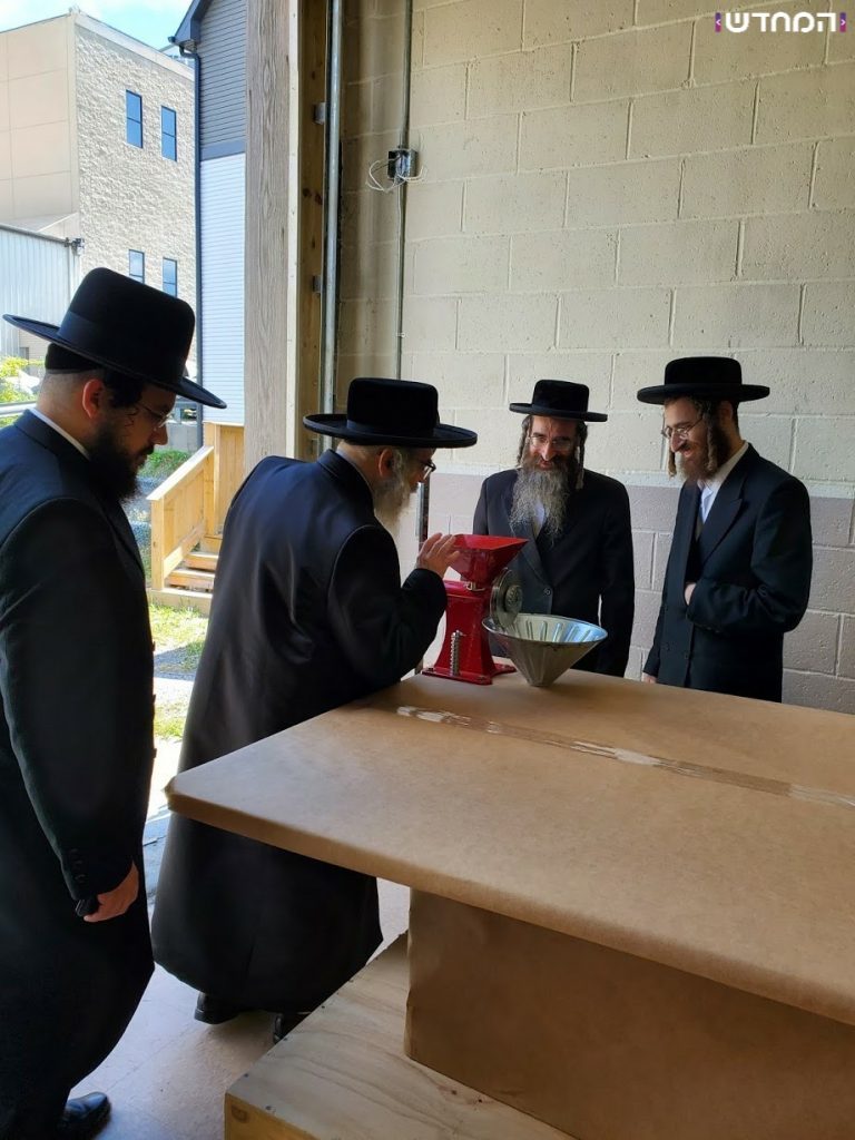 האדמו"ר מסאטמר בבדיקת החטים והמטחנות לקראת חג הפסח תשפ"א • גלריה