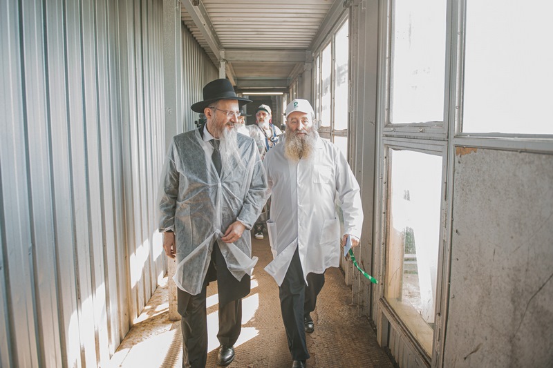 תיעוד מרוסיה: בדיקת סכיני השוחטים לקראת ראש השנה