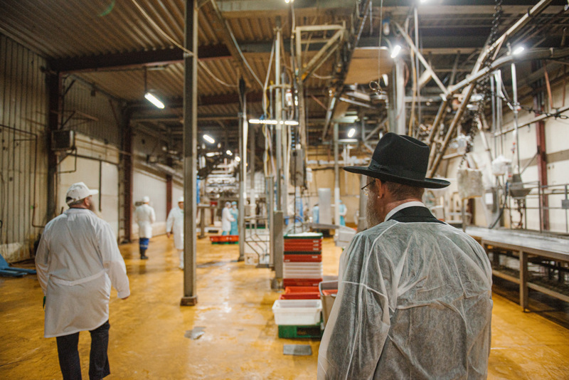 תיעוד מרוסיה: בדיקת סכיני השוחטים לקראת ראש השנה