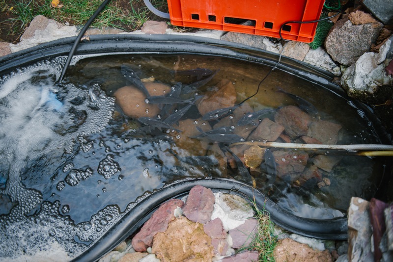 בירת רוסיה: מנייני קפסולות, תשליך, התרת נדרים ומוצאי החג