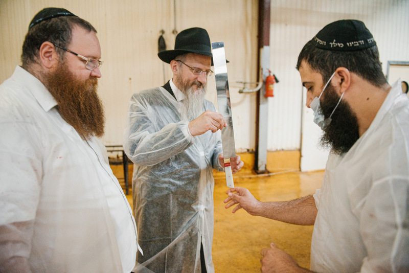 תיעוד מרוסיה: בדיקת סכיני השוחטים לקראת ראש השנה