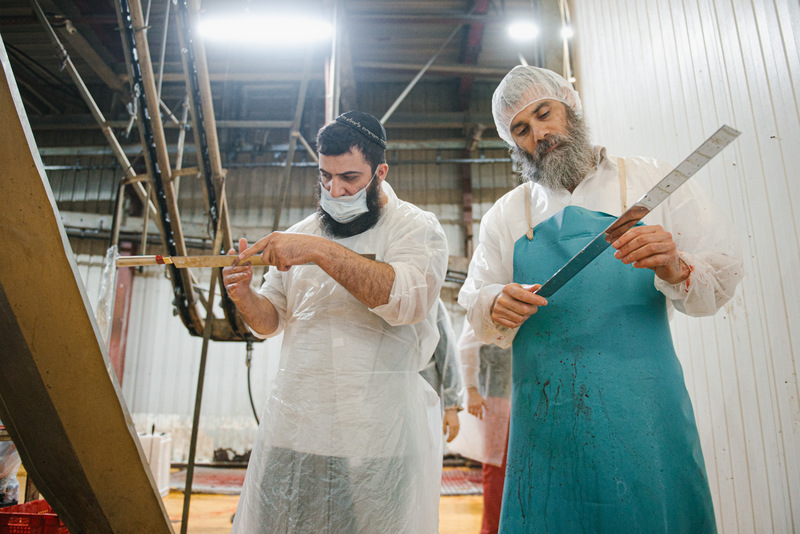 תיעוד מרוסיה: בדיקת סכיני השוחטים לקראת ראש השנה