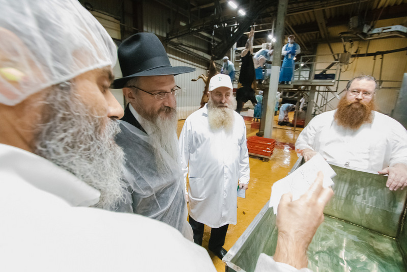 תיעוד מרוסיה: בדיקת סכיני השוחטים לקראת ראש השנה