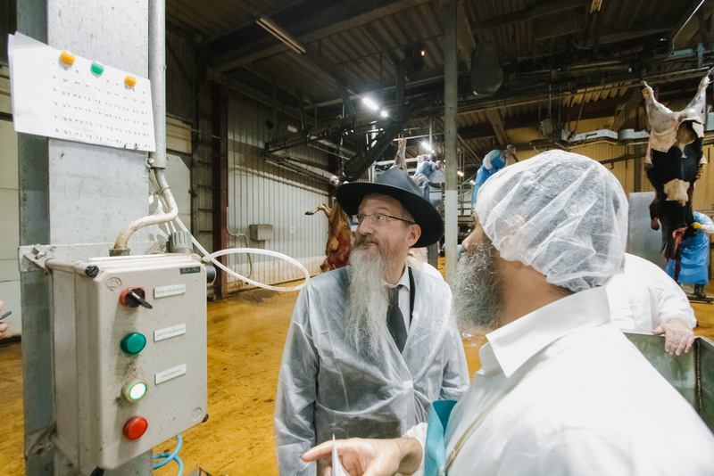 תיעוד מרוסיה: בדיקת סכיני השוחטים לקראת ראש השנה