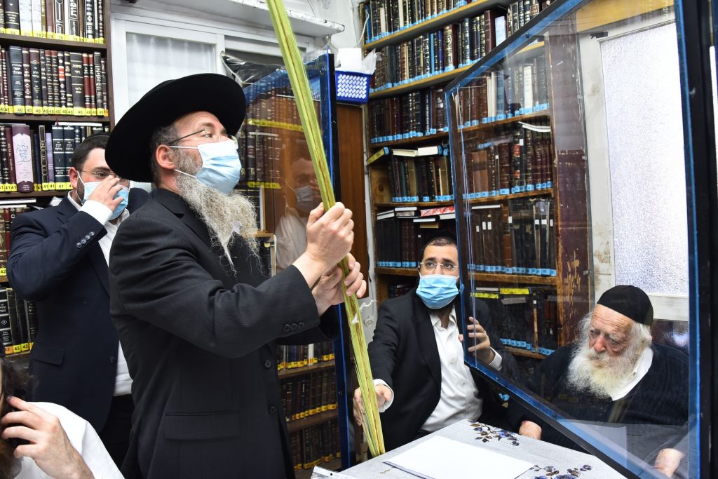 גלריה: שר התורה הגר"ח קנייבסקי בבדיקת ד' מינים