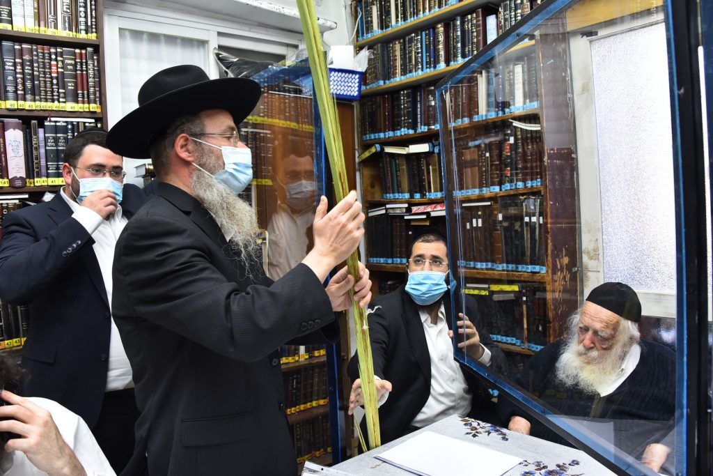 גלריה: שר התורה הגר"ח קנייבסקי בבדיקת ד' מינים