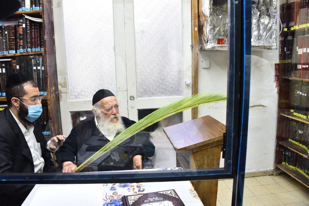 גלריה: שר התורה הגר"ח קנייבסקי בבדיקת ד' מינים