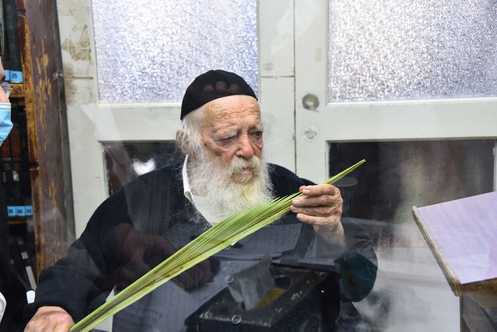 גלריה: שר התורה הגר"ח קנייבסקי בבדיקת ד' מינים