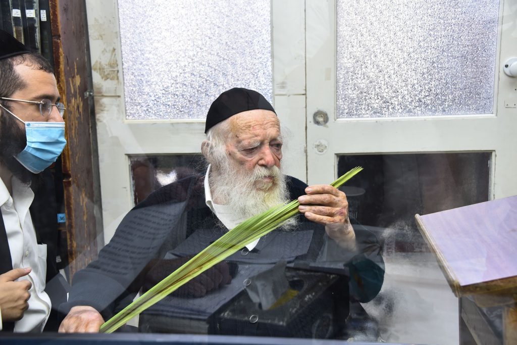 גלריה: שר התורה הגר"ח קנייבסקי בבדיקת ד' מינים