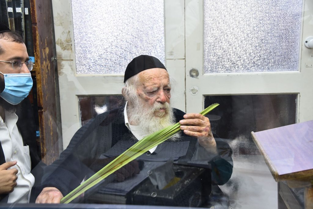גלריה: שר התורה הגר"ח קנייבסקי בבדיקת ד' מינים