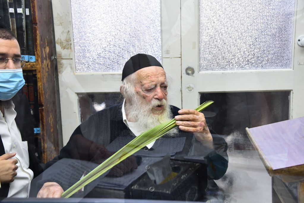 גלריה: שר התורה הגר"ח קנייבסקי בבדיקת ד' מינים