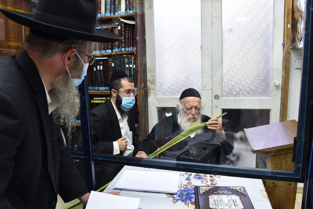 גלריה: שר התורה הגר"ח קנייבסקי בבדיקת ד' מינים