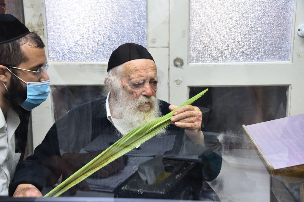 גלריה: שר התורה הגר"ח קנייבסקי בבדיקת ד' מינים