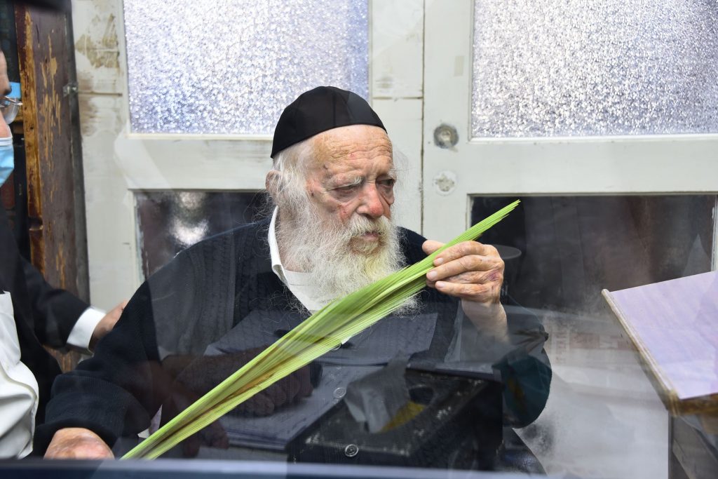 גלריה: שר התורה הגר"ח קנייבסקי בבדיקת ד' מינים