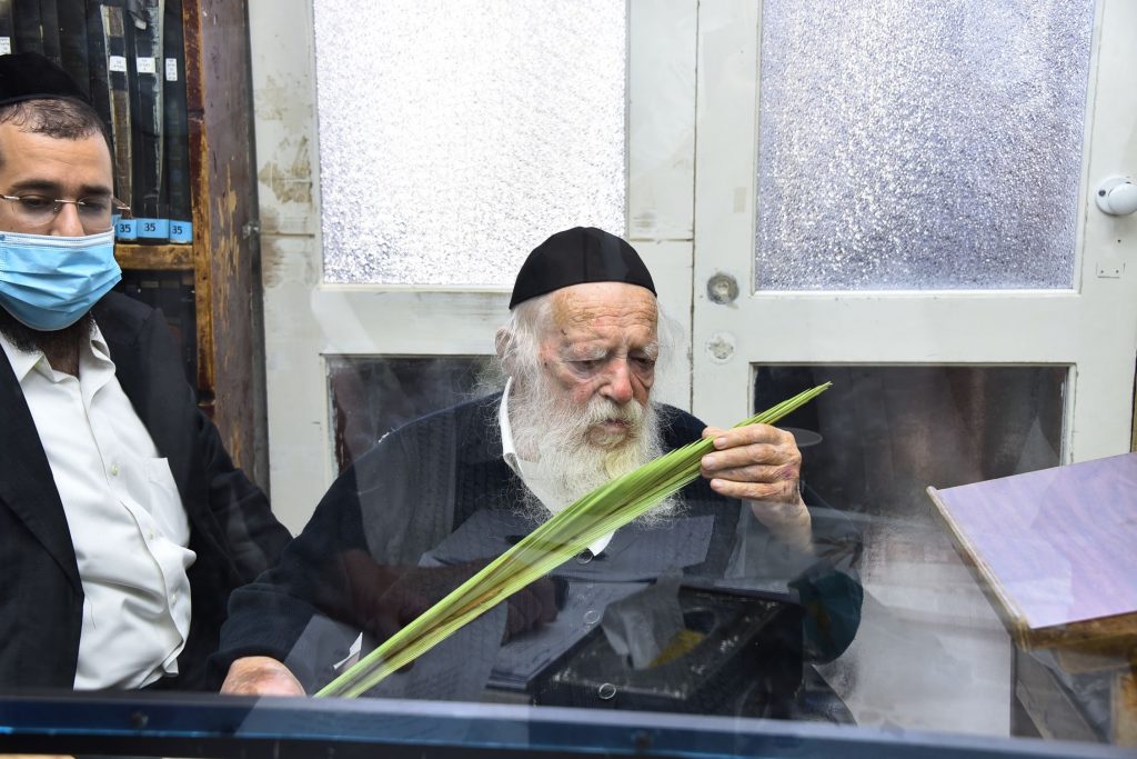 גלריה: שר התורה הגר"ח קנייבסקי בבדיקת ד' מינים