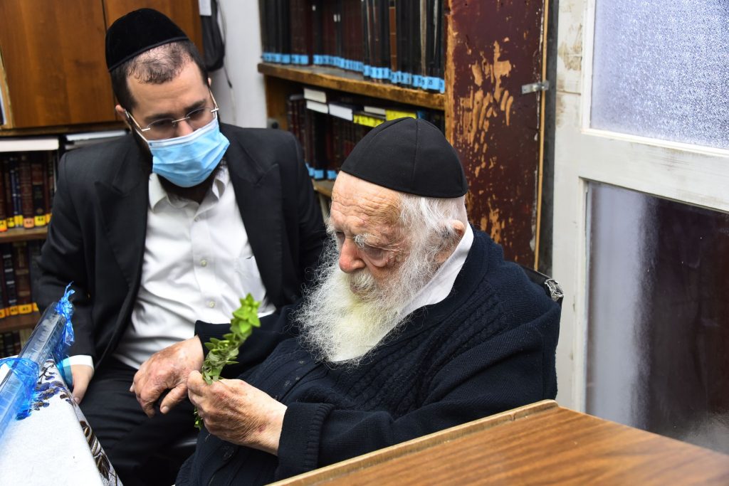 גלריה: שר התורה הגר"ח קנייבסקי בבדיקת ד' מינים