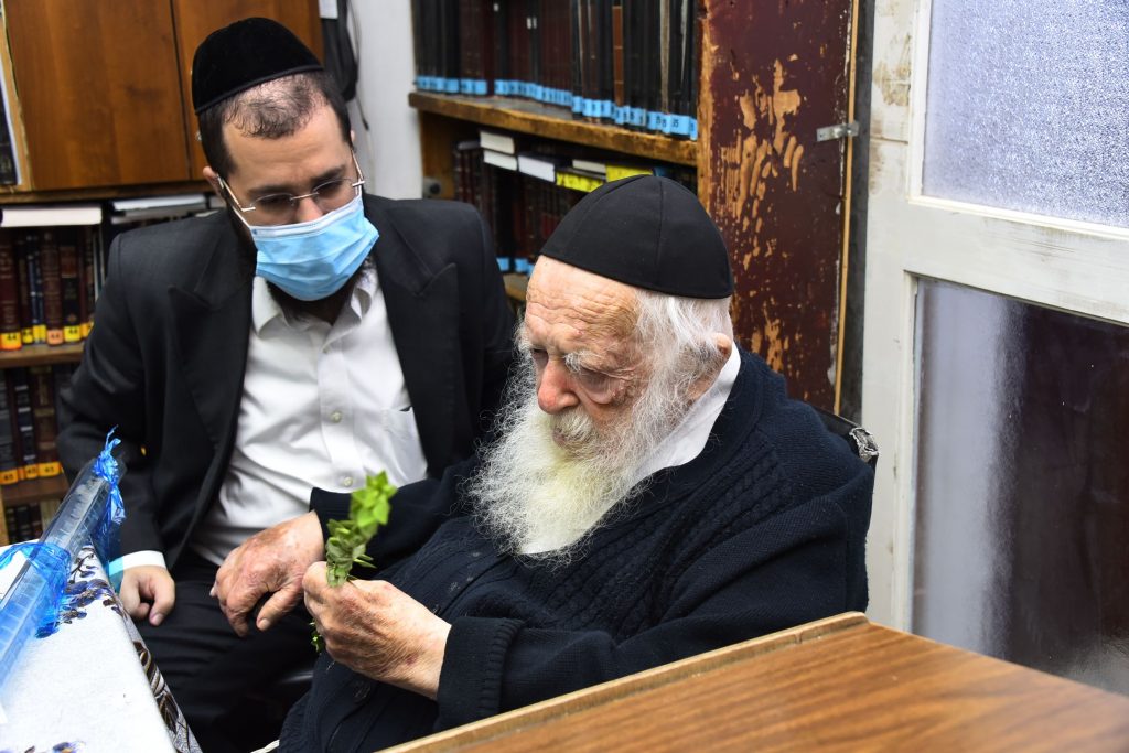 גלריה: שר התורה הגר"ח קנייבסקי בבדיקת ד' מינים
