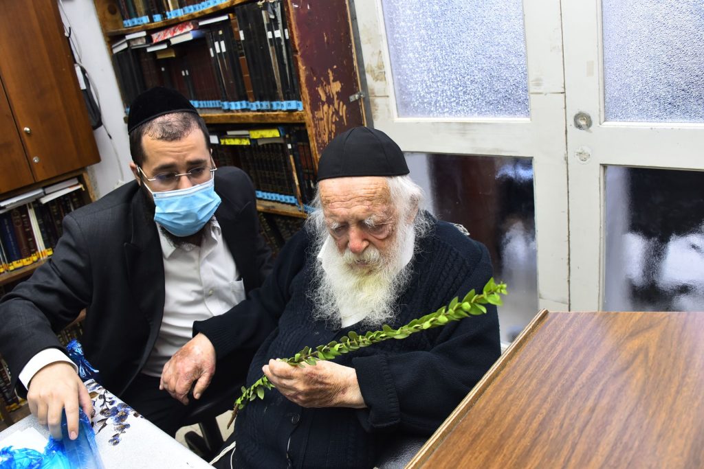 גלריה: שר התורה הגר"ח קנייבסקי בבדיקת ד' מינים