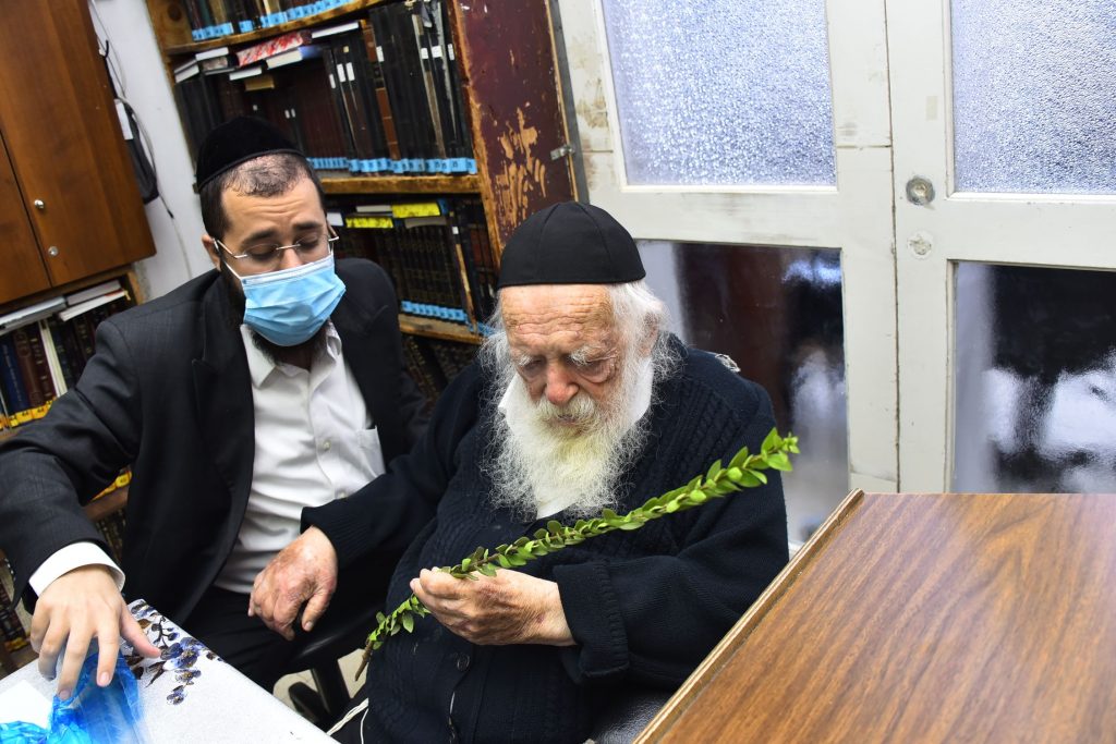גלריה: שר התורה הגר"ח קנייבסקי בבדיקת ד' מינים