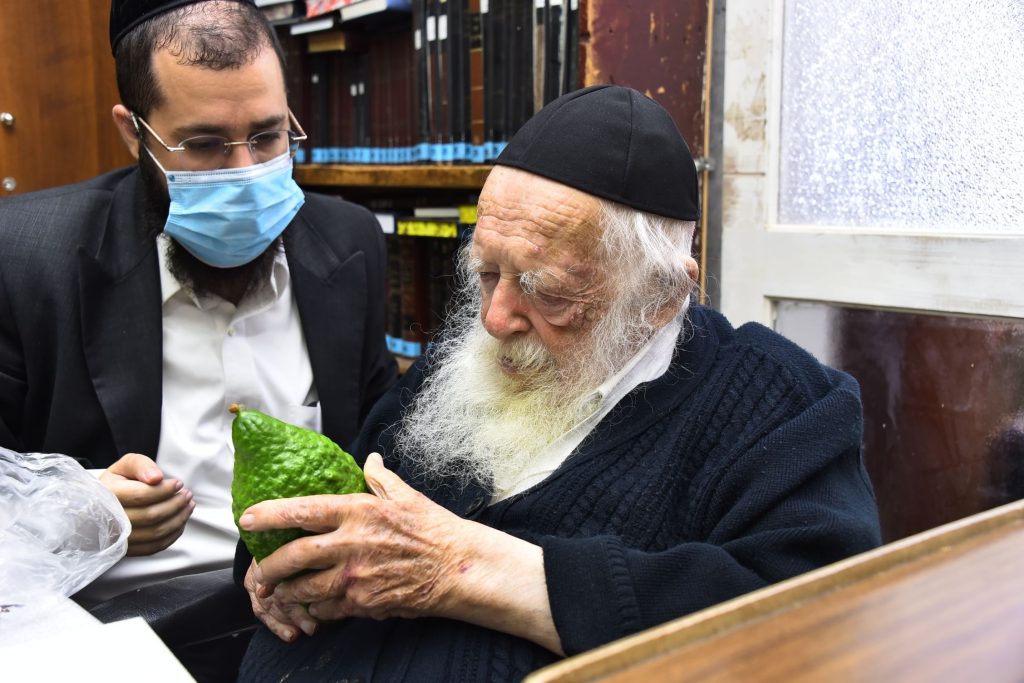גלריה: שר התורה הגר"ח קנייבסקי בבדיקת ד' מינים