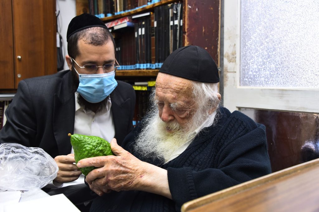 גלריה: שר התורה הגר"ח קנייבסקי בבדיקת ד' מינים