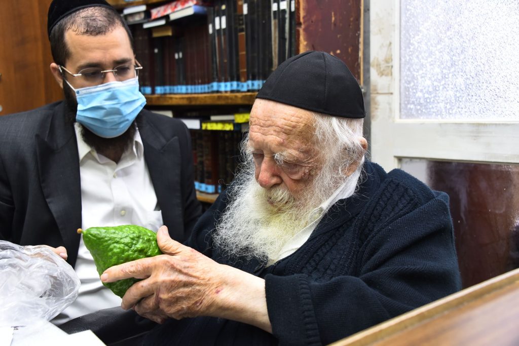 גלריה: שר התורה הגר"ח קנייבסקי בבדיקת ד' מינים