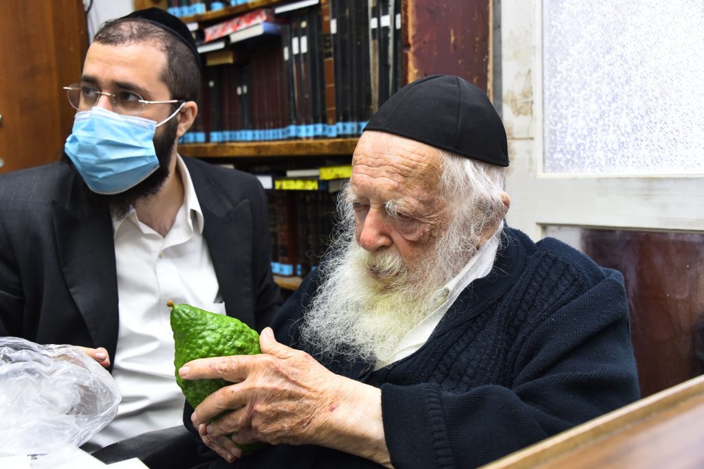 גלריה: שר התורה הגר"ח קנייבסקי בבדיקת ד' מינים