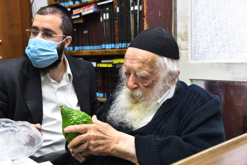 גלריה: שר התורה הגר"ח קנייבסקי בבדיקת ד' מינים