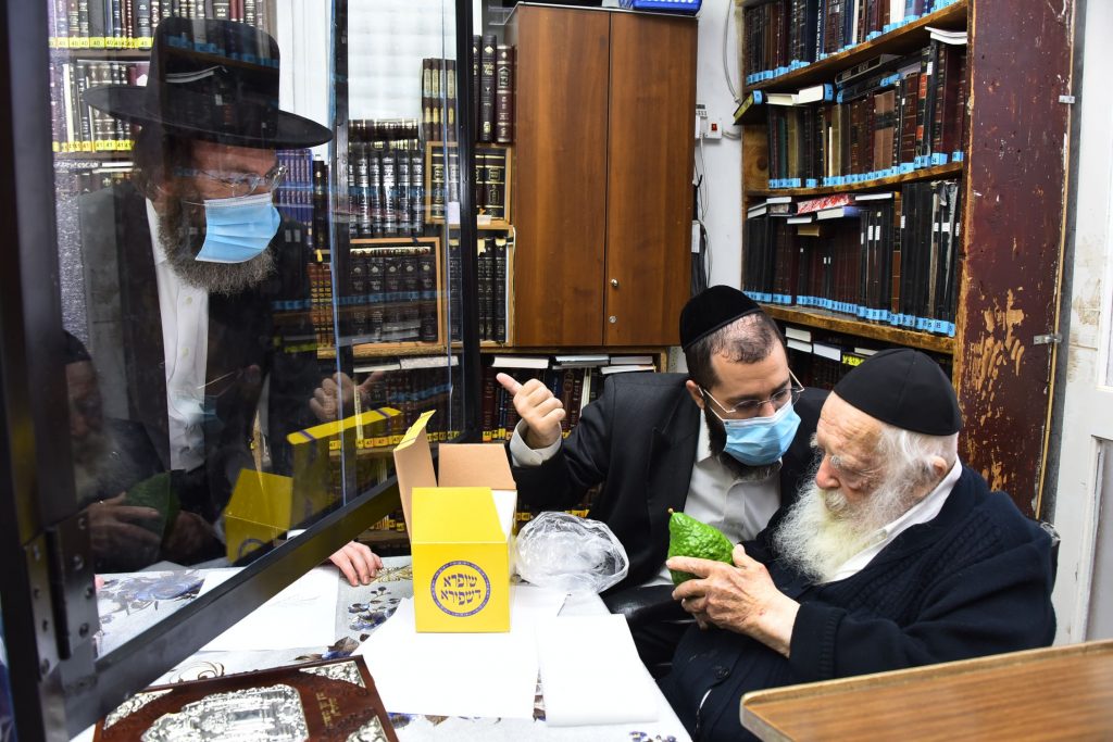 גלריה: שר התורה הגר"ח קנייבסקי בבדיקת ד' מינים