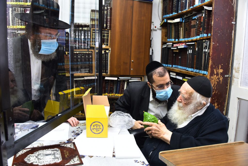 גלריה: שר התורה הגר"ח קנייבסקי בבדיקת ד' מינים